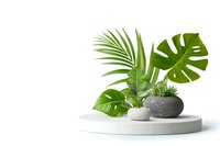 Tropical palm and monstera leaves in modern stone pots on white round platform. Minimalist botanical arrangement isolated on white background.