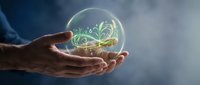 Hands holding a glowing glass sphere with a green plant sprout inside, symbolizing sustainable growth, ecology, and environmental care.