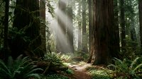 Ancient redwood forest with towering trees, lush ferns, and dramatic sunlight rays filtering through misty canopy, creating serene woodland atmosphere.