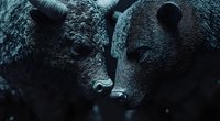 Close-up of two black bears touching noses in dark moody lighting, showing tender animal behavior against dramatic shadowy background.