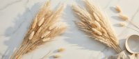 Dried pampas grass bundles arranged on white marble surface with neutral ribbon for home decor and interior design projects.