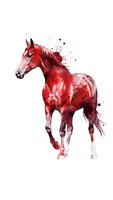 Red watercolor horse with paint splashes isolated on white background for artistic design projects and equestrian themed decorations.