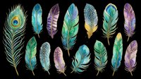Feather collection featuring peacock, bird, and decorative plumes in teal, purple, green, and gold tones isolated on transparent background. Ready for t-shirt designs, clipart, stickers, and print-on-demand projects.