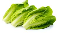 Fresh romaine lettuce hearts arranged in row on white background, crisp green leaves showing natural texture and color. Isolated food photography for culinary use.
