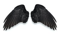 Pair of detailed black angel wings with layered feathers isolated on white background for fantasy design projects and creative artwork applications.