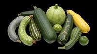 Assorted fresh zucchini and squash varieties isolated on transparent background, ready for T-shirts, stickers, clipart, print on demand, and sublimation design use.