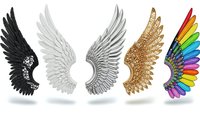 Set of decorative wings in different styles including black ornate, white feathered, gray detailed, golden glittery and rainbow colored designs for creative projects.