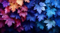 Vibrant maple leaves in gradient colors from warm pink to deep blue create dramatic natural pattern, moody autumn background with artistic color transition effect.