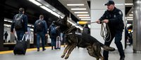 Police officer with K-9 German Shepherd dog conducting security patrol in busy subway station with commuters and travelers in background.