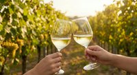 Two hands toasting with white wine glasses in vineyard at golden hour sunset creating romantic celebration moment among grape vines for special occasions.