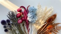 Assorted dried flowers flat lay on white background, featuring lavender, hydrangea, pampas grass, and thistles in boho style.