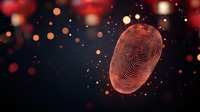 Glowing red fingerprint hologram floating in dark space with bokeh light effects, representing digital security and biometric authentication technology.