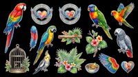 Colorful parrot clipart set isolated on transparent background, featuring macaws, cockatiel, lorikeet, feathers, birdcage, and tropical flowers for stickers, t-shirts, print on demand.