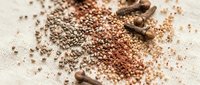 Assorted coriander seeds scattered on burlap fabric with wooden spoons creating rustic culinary display for cooking and spice preparation concepts.