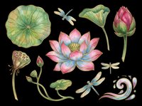 Botanical water lily and lotus flower collection with dragonflies and buds isolated on transparent background, ready for t-shirt design, clipart, stickers, sublimation and print-on-demand projects.