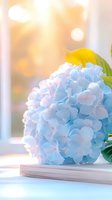 Delicate light blue hydrangea flower head resting on book near window with soft golden bokeh background creates dreamy romantic atmosphere.