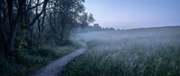 Misty dawn landscape with winding dirt path through meadow and trees creating serene countryside atmosphere for nature and outdoor recreation concepts.