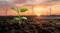 Young green plant seedling growing in fertile soil with wind turbines and solar panels at sunset representing sustainable renewable energy future.