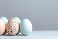 Fresh speckled quail eggs and pale blue chicken eggs arranged in minimalist composition against neutral gray background, creating soft natural palette.