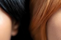 Close up view of contrasting black and brown hair textures showing smooth strands against soft focus background, highlighting different hair colors and styling.