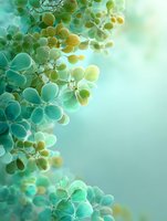 Delicate green eucalyptus leaves with soft bokeh background creating dreamy natural botanical composition for wellness and spa design projects.