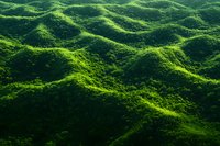 Lush green rolling hills covered in dense tropical vegetation creating natural landscape patterns for environmental and nature projects.