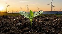 Young green plant sprouting from rich soil with wind turbines at sunset, symbolizing renewable energy growth and sustainable development.