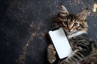 Adorable tabby kitten holding smartphone with blank white screen on dark textured surface with golden glitter accents for mobile app mockup designs.