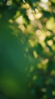 Soft-focused foliage with golden sunlight filtering through green leaves, creating a dreamy bokeh effect. Suitable for nature backgrounds, wellness designs, and environmental concepts.