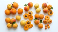 Assorted apricots whole and halved displaying orange and yellow tones with pits visible, arranged on white background for food styling and culinary design projects.