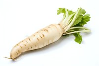 Fresh white parsnip root vegetable with green leaves isolated on white background, raw organic produce for healthy cooking and food preparation.