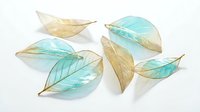 Delicate translucent leaves in golden yellow and turquoise blue tones on white background, perfect for botanical design projects and nature-themed artwork.