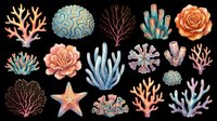 Coral reef and succulent plants isolated on transparent background, ready for t-shirt design, clipart, stickers, sublimation and print-on-demand projects.