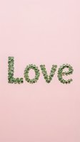 Love word spelled with green eucalyptus leaves on soft pink background for romantic Valentine's Day wedding anniversary greeting cards social media posts.