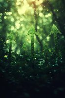 Green upward arrows emerging from forest floor with magical bokeh lights representing sustainable growth, eco-friendly business success and environmental progress.