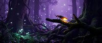 Mystical forest scene with glowing fireflies and magical purple starlight illuminating ancient twisted trees and moss-covered ground for fantasy designs.