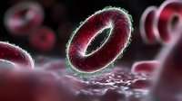 Red blood cell with glowing green edge floating in plasma, microscopic medical visualization showing erythrocyte structure and membrane detail in dark environment.
