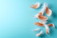 Delicate coral and white feathers floating on turquoise background. Gentle falling plumes create ethereal composition with soft shadows for dreamy atmospheric design.