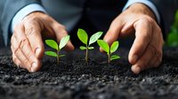 Male hands nurturing young green seedlings growing in rich soil, symbolizing growth, environmental care and sustainable development in business and nature.