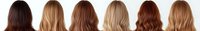 Back view of six different hair colors from dark brown to blonde showing natural wavy hairstyles on white background, isolated for beauty and fashion design.