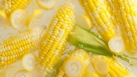 Fresh sweet corn cobs with melted butter and green leaves floating in clear water with splashes, bright yellow kernels in natural lighting for food photography.