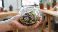 Hand holding glass terrarium with succulent plants and soil, ideal for indoor gardening, home decor, and botanical design projects.