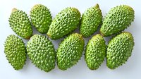Fresh green soursop fruits arranged in rows on white background, showing detailed spiky texture and natural tropical produce pattern. Isolated overhead view.