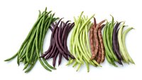Fresh colorful bean varieties arranged in rows on white background, including green, purple and speckled pods for healthy cooking and nutrition.