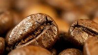 Roasted coffee beans with detailed texture showing natural cracks and rich brown color, close-up macro photography for beverage and cafe concepts.