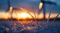 Frozen grass blades covered in morning frost sparkle at sunrise, creating magical bokeh effect with golden sun rays and blurred winter landscape background.