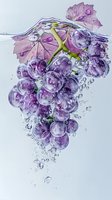 Fresh purple grapes bunch with leaves splashing in clear water with bubbles, droplets on fruit surface creating dynamic movement and refreshing feel.