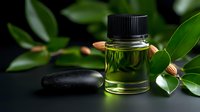 Green essential oil in glass bottle with fresh leaves and black massage stone on dark background, natural aromatherapy spa wellness concept.