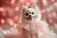 White Pomeranian dog wearing pink tulle collar against soft pink bokeh background, smiling with tongue out, creating magical festive atmosphere.