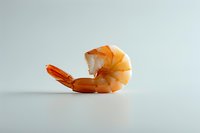 Single cooked shrimp on light background, minimalist food photography with clean composition and soft shadows, fresh seafood ingredient isolated.